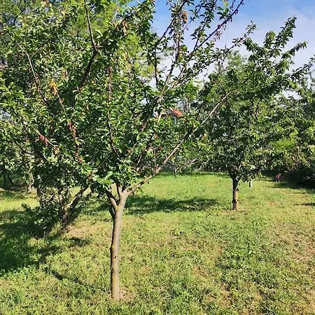 Prázdninový dům Akacliget Vendeghaz Zamárdi