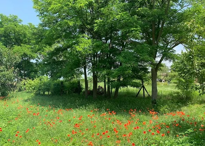 Ferienhaus Akacliget Vendeghaz Zamárdi