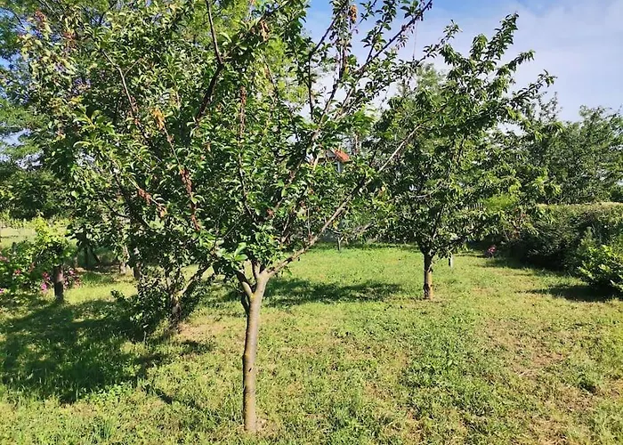 Ferienhaus Akacliget Vendeghaz Zamárdi